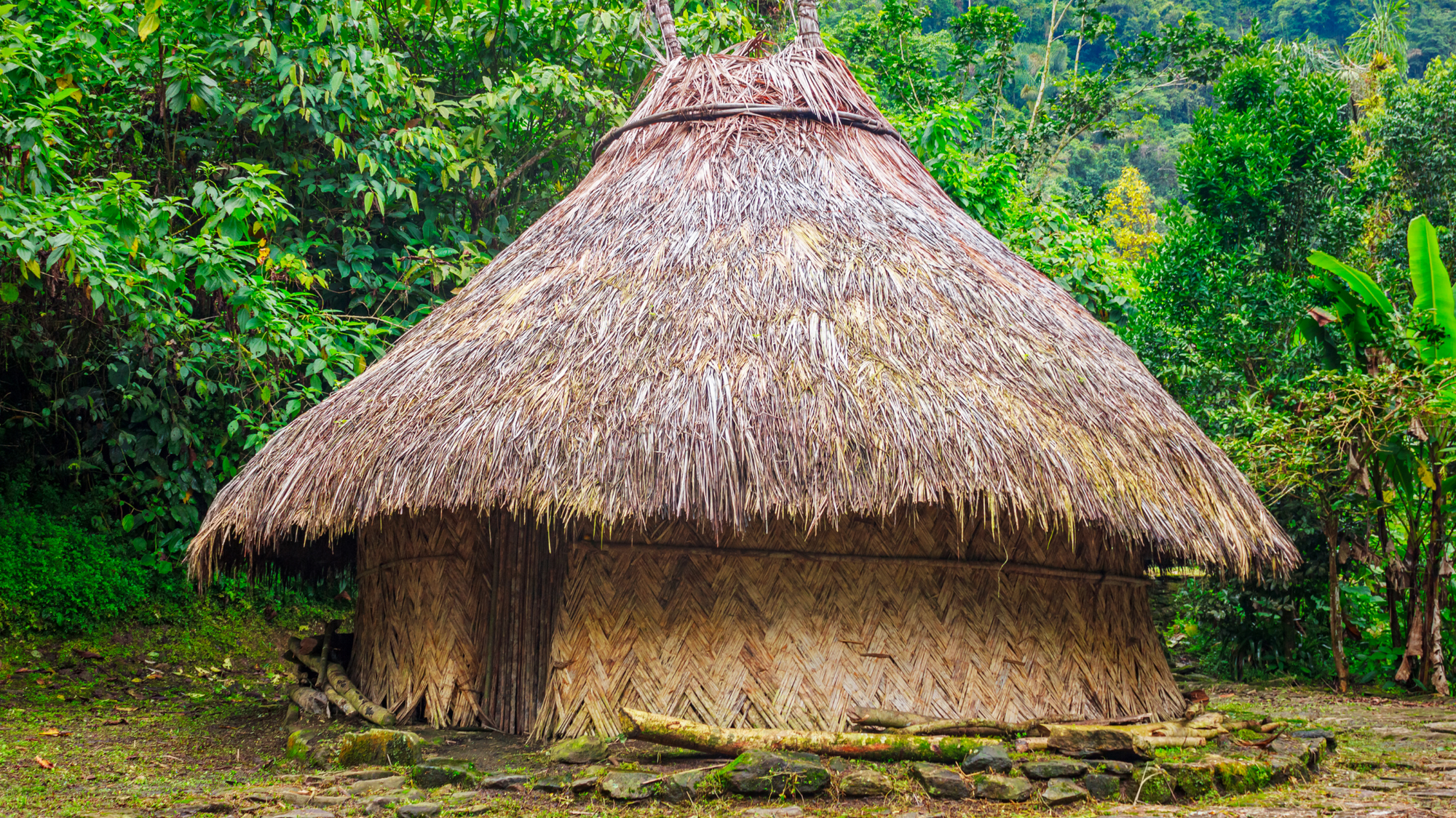 Introducing Our New Cacao: Honouring the Arhuaco Tribe